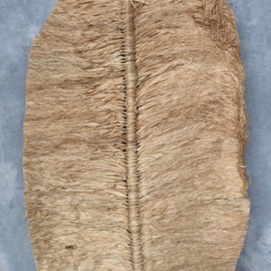 Leaf