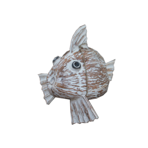 Coconut Fish - Natural W/wash