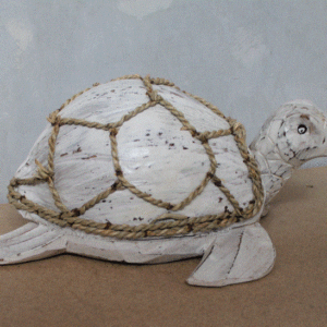 Coconut Turtle - Whitewash