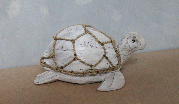 Coconut Turtle - Whitewash