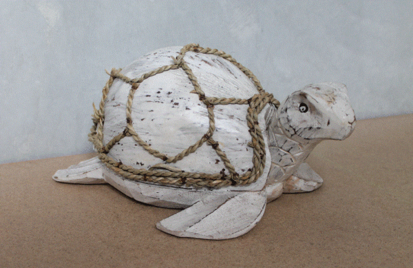 Coconut Turtle - Whitewash - Image 2