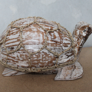 Coconut Turtle - Natural Wash