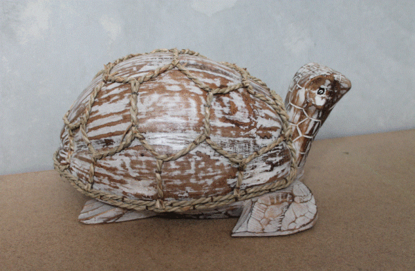 Coconut Turtle - Natural Wash