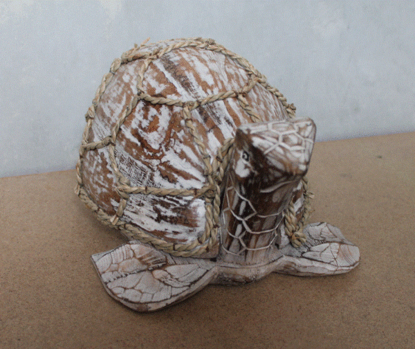 Coconut Turtle - Natural Wash - Image 2