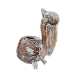 Pelican Coconut